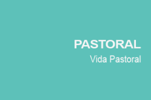 LA VISIÓN APOSTÓLICA DE PADRE